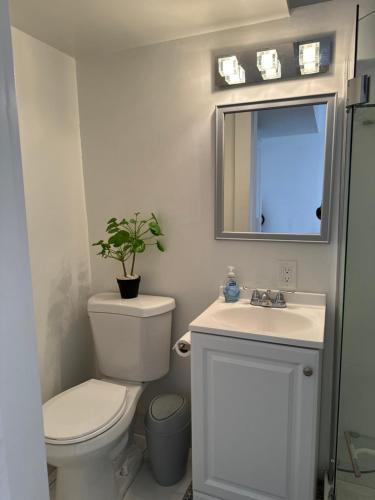 Hummingbird's Retreat One bedroom private bath private entry door