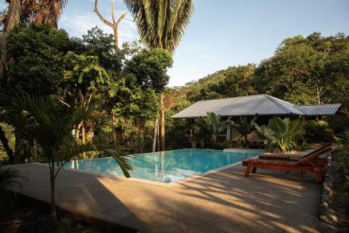 Wild Wasi Lodge Adventures Guided Tours — 4-Star Luxury Hotel in Puyo, Ecuador