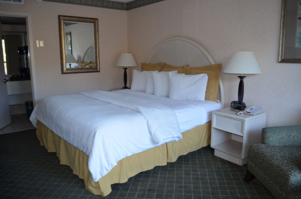 Chapel Hill University Inn - photo 10
