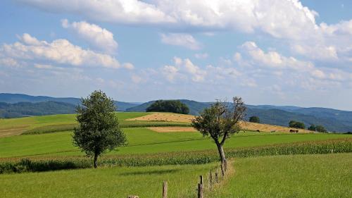 Ferienhof Knoll — Lindenfels — photo 2