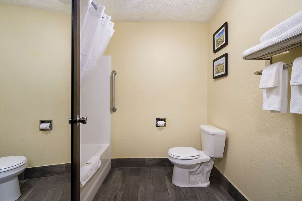 Comfort Inn Yankton SD - photo 24