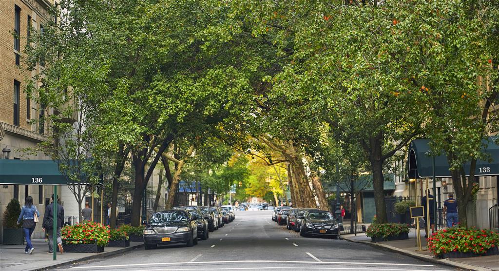 The Gardens Sonesta ES Suites New York - featured photo