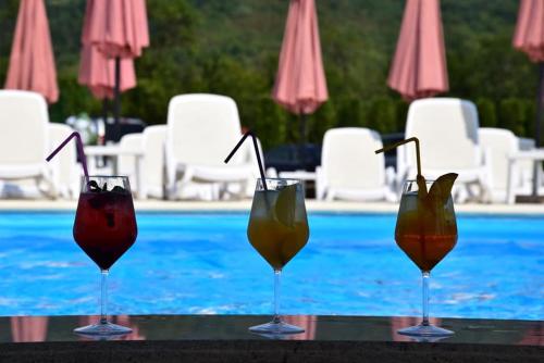 Pensiunea Trei Pini — 4-Star Luxury Hotel in Seini, Romania