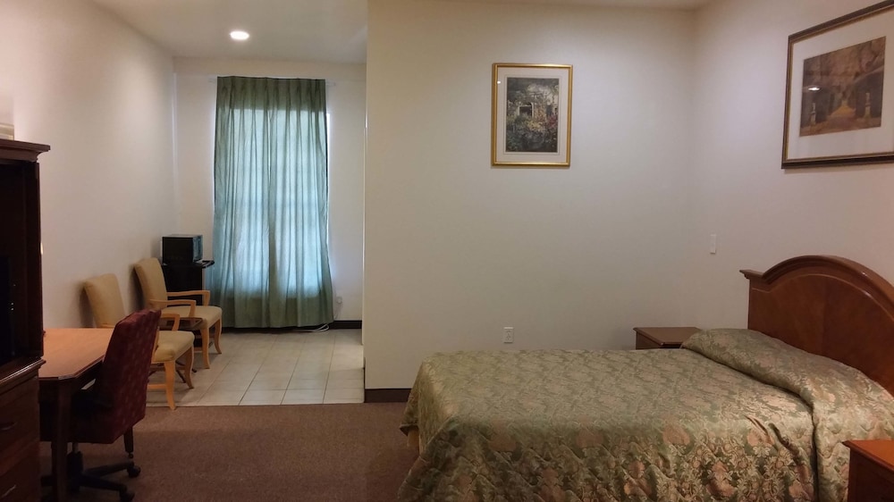 Country Regency Inn & Suites - photo 6