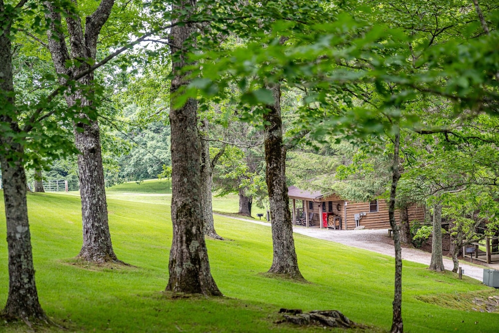 Fire Mountain Inn Cabins & Treehouses - photo 94
