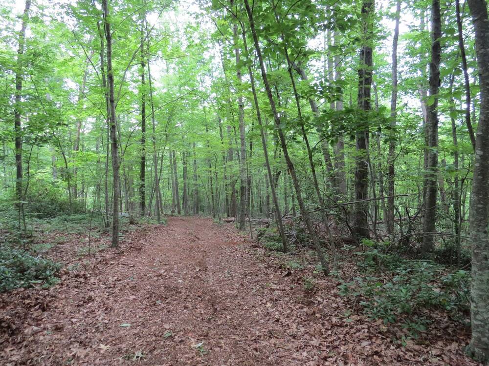 Southern Comfort Lakeside Cabin Resort - photo 54