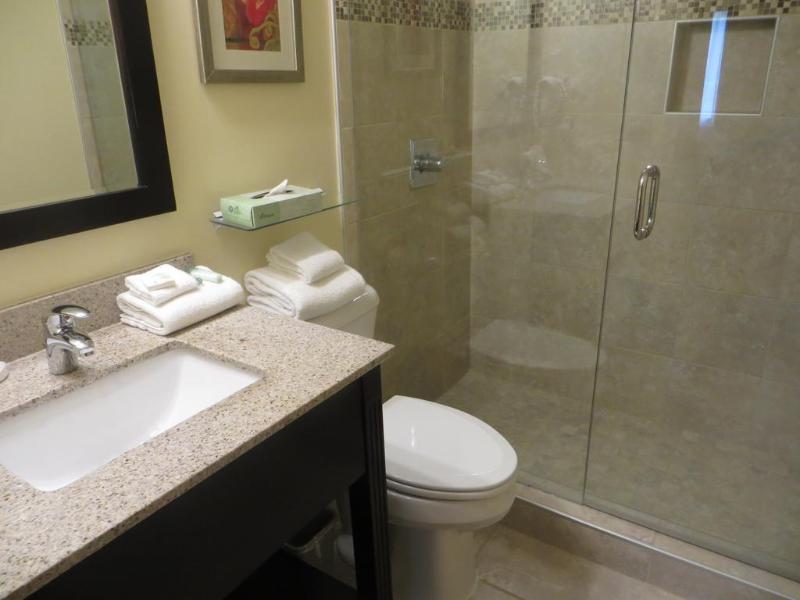 Ashley Quarters Hotel Cincinnati Airport - photo 10