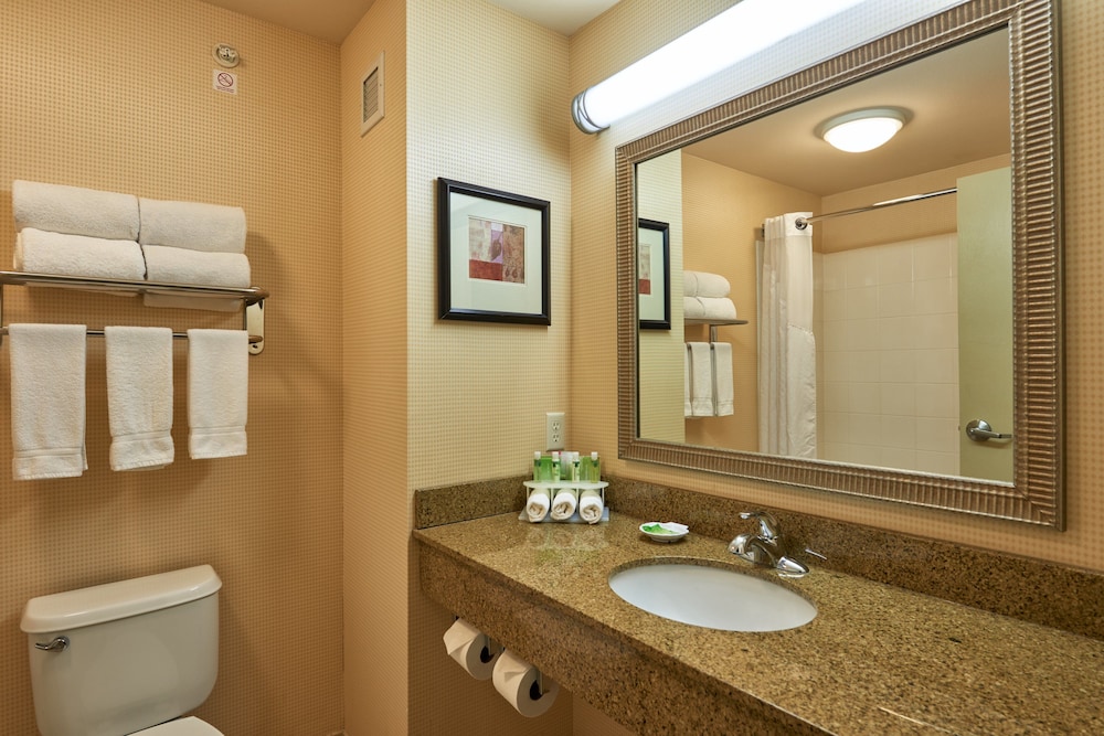 Holiday Inn Express & Suites El Paso Airport Area by IHG - photo 12