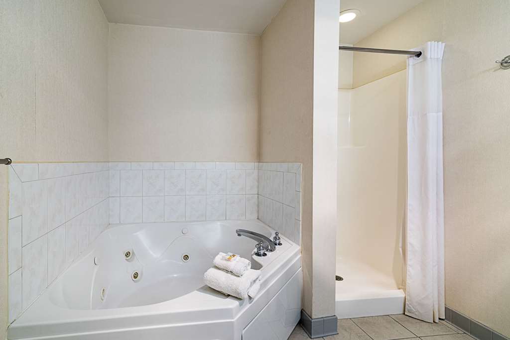Quality Inn & Suites Schoharie near Howe Caverns - photo 16