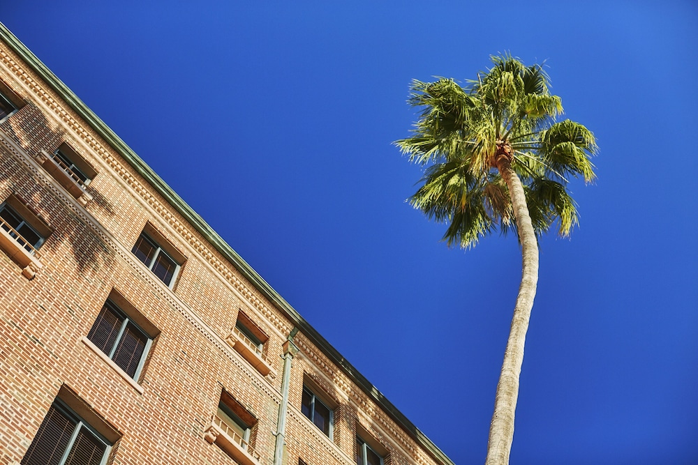 Fairmont Miramar Hotel - photo 118