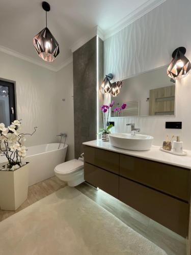 Class Luxury Residence — Satu Mare — photo 2