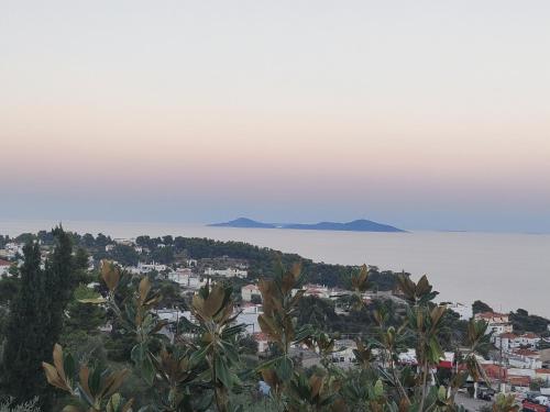 Kitrino Spiti Best View Eco Villa — 4-Star Luxury Hotel in Patitirion, Greece