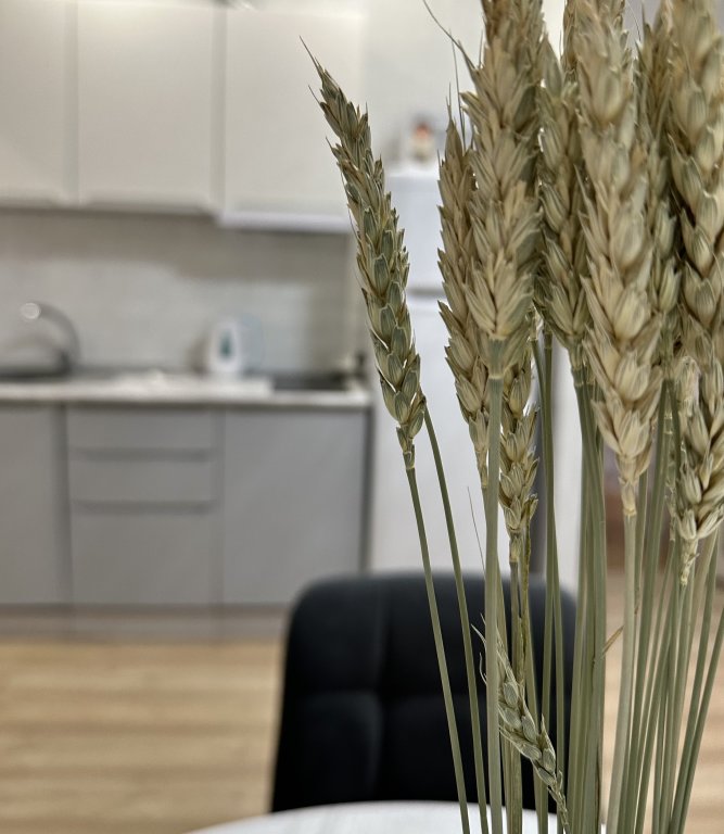 Uyutnaya Kvartira V Tsentre Goroda in Abakan, Russia