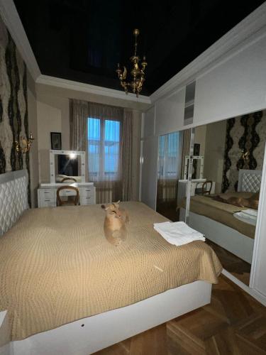 Apartment in the center of the city Vera