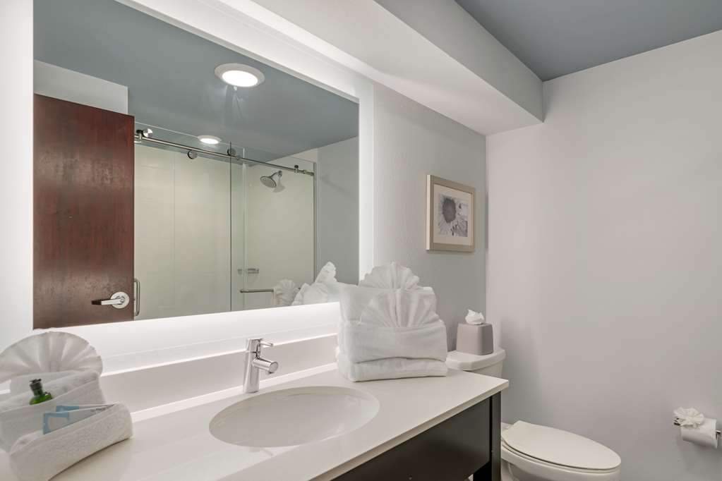 Heidel House Hotel and Conference Center an Ascend Collection Hotel - photo 25