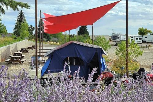 Blue Mountain RV Park - photo 23