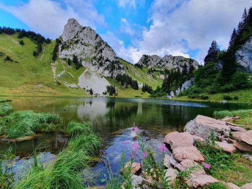 Centfontaines City - last minute hotel in Unknown City