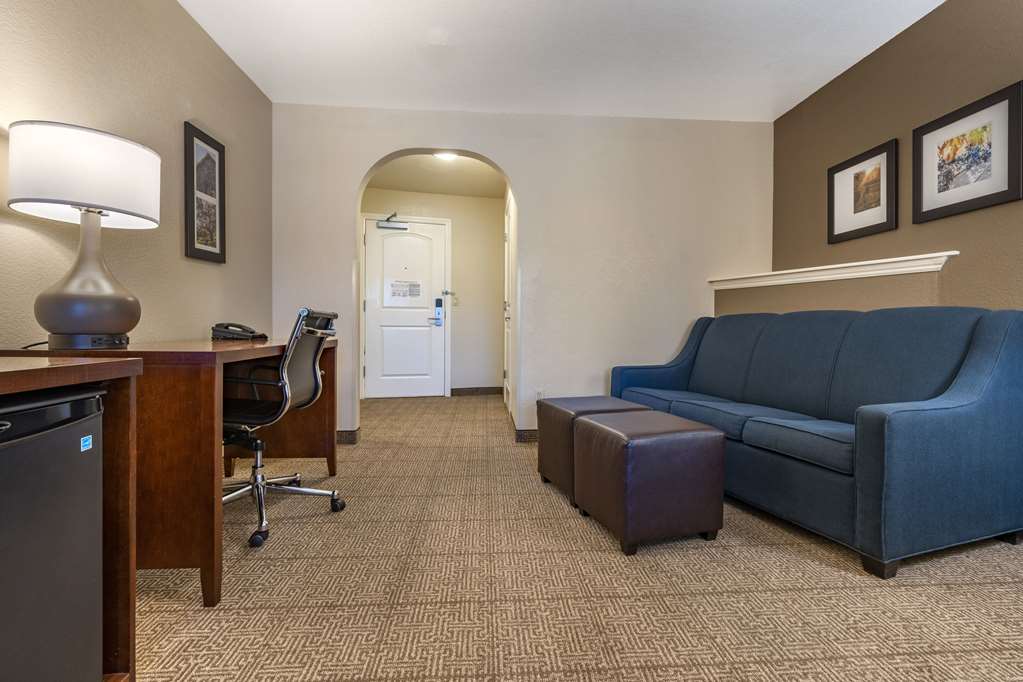 Comfort Inn & Suites Ukiah Mendocino County - photo 20