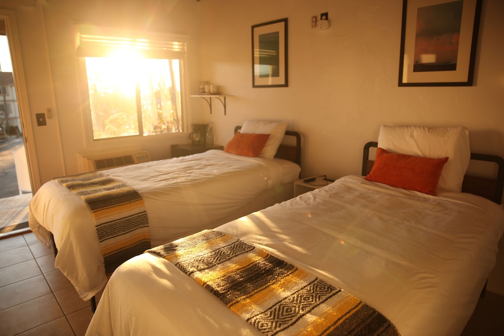 West Coast Surf and Stay - photo 5