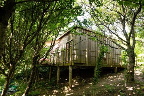 THE HYDE secret hide away near the beach. in Truro, United Kingdom