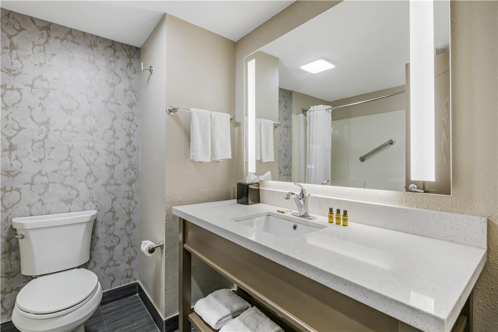 Best Western Plus Sanford Airport Lake Mary Hotel - photo 24
