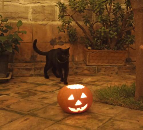 Bellofatto in Naples, Italy