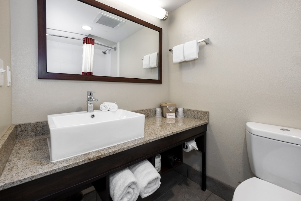 Red Roof Inn PLUS Tuscaloosa University - photo 25