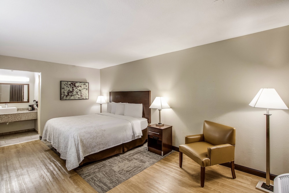 Red Roof Inn PLUS Dallas Addison - photo 22