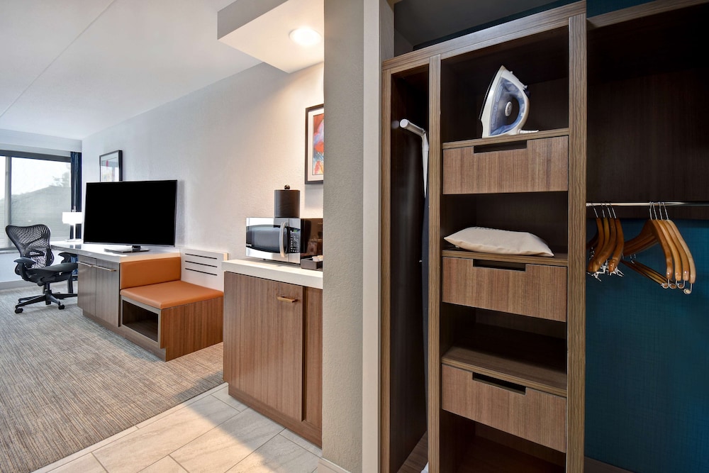 Hilton Garden Inn Detroit Metro Airport - photo 27