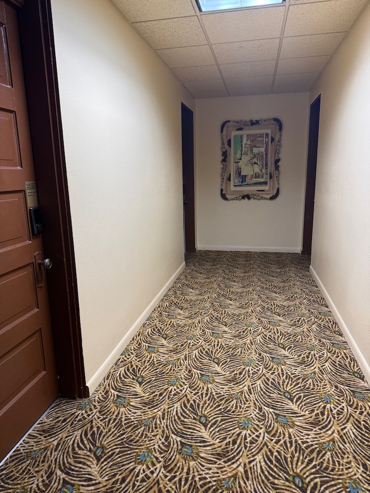 Hotel LaBonte - photo 41