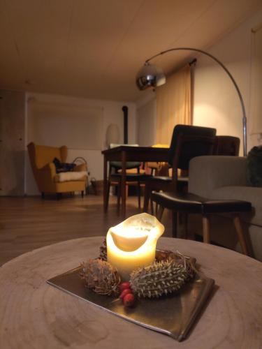 Chalet De Maanvaren 20280207 — Hattemerbroek