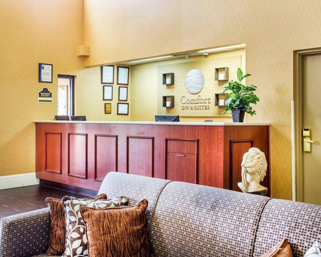 Comfort Inn & Suites at Stone Mountain - photo 9