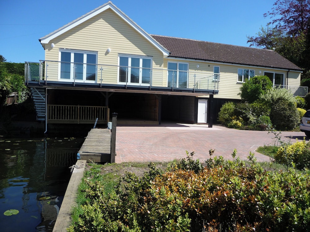 Reedlings in Norwich, United Kingdom