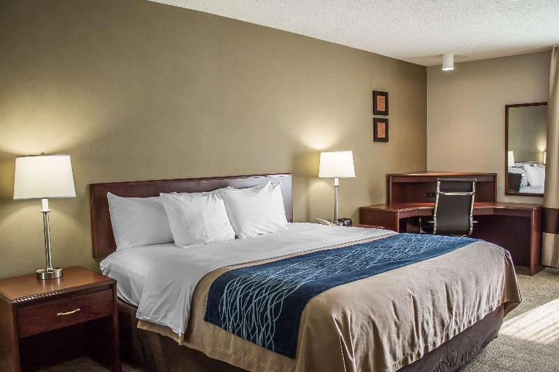 Comfort Inn - photo 31