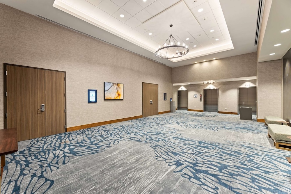 Embassy Suites by Hilton Irving Las Colinas - photo 43