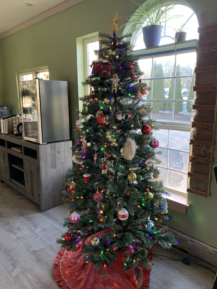 South Jetty Inn - photo 5