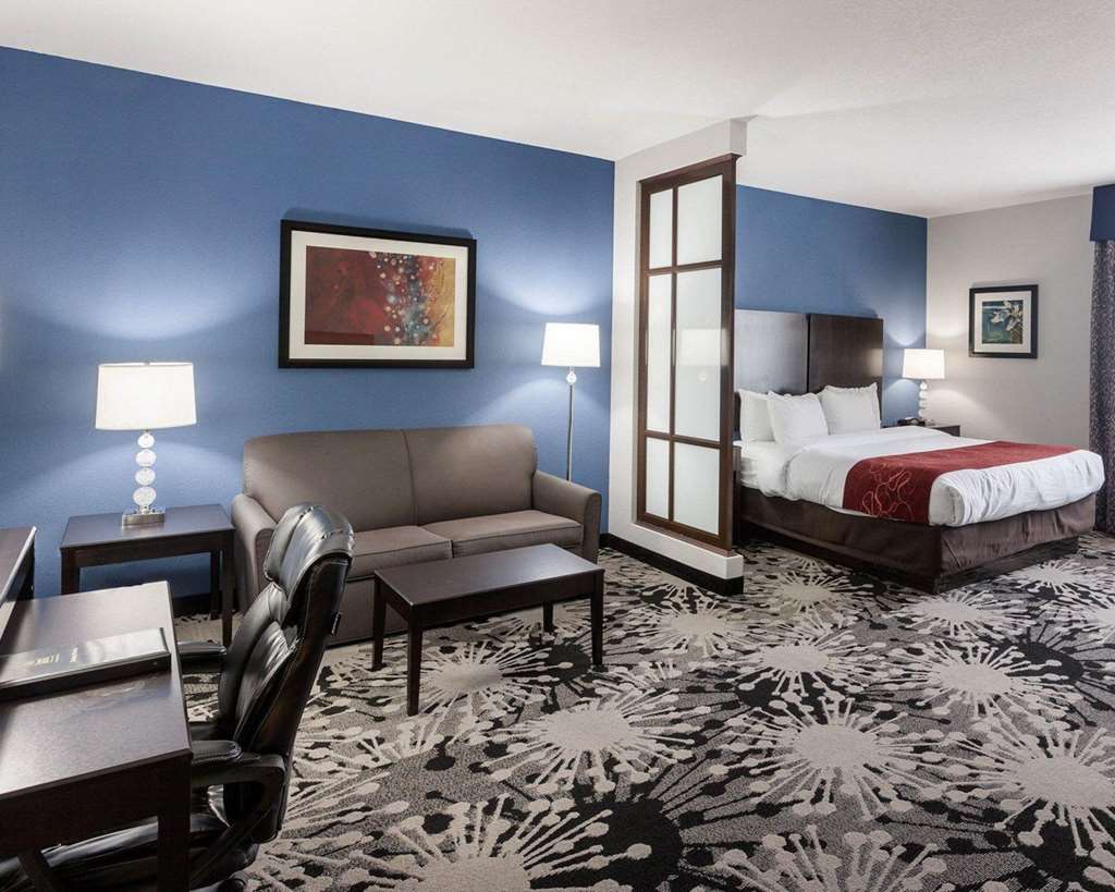 Comfort Suites Greenville - photo 13