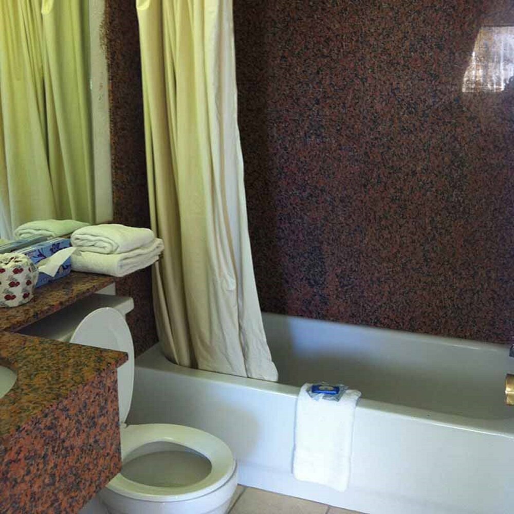 Oaktree Inn and Suites - photo 9