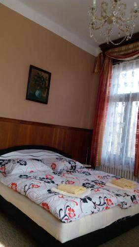 Hotel Evropa - last minute hotel in Frantiskovy Lazne