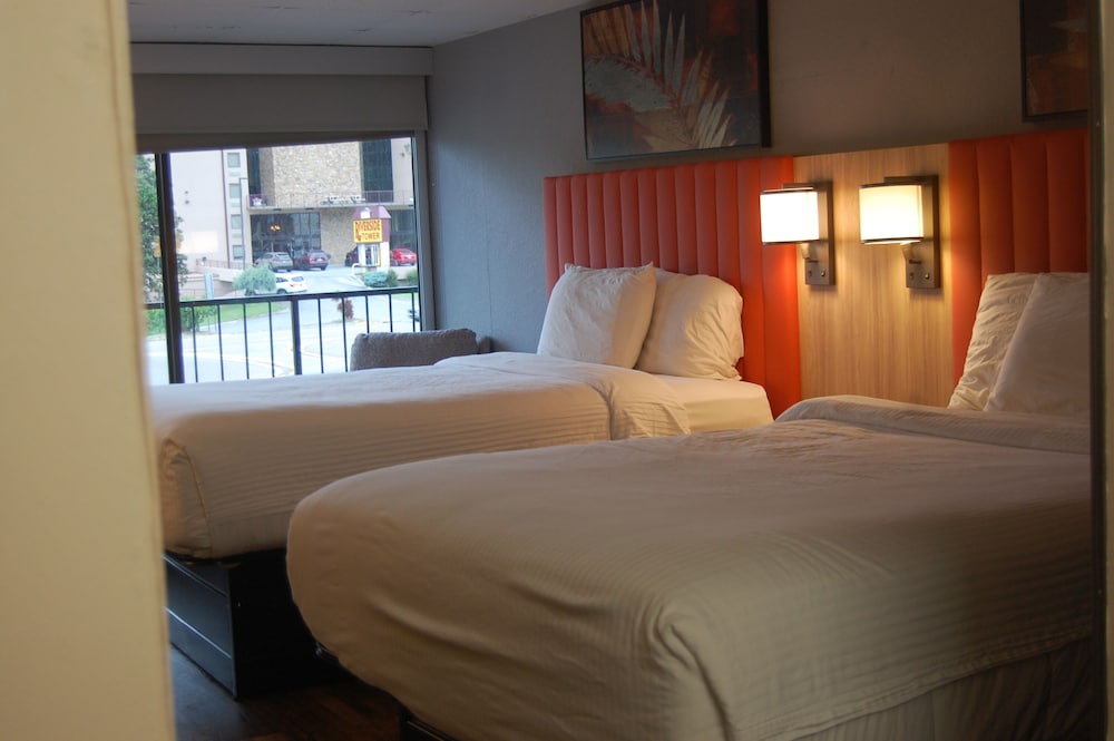 Vacation Lodge - photo 28