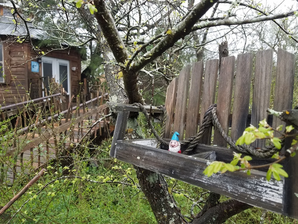 Savannah's Meadow - photo 2