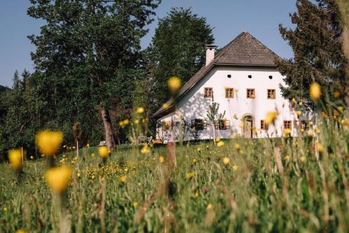 Bauernhaus Dörfl In Der Strass — hotel in Gmunden