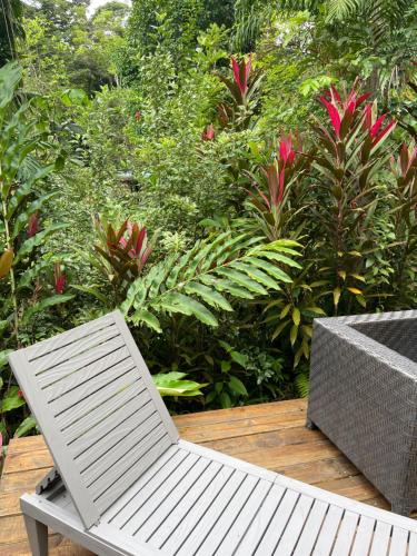 Ponci s Gate to Gaia Holistic Center in Bocas Del Toro, Panama