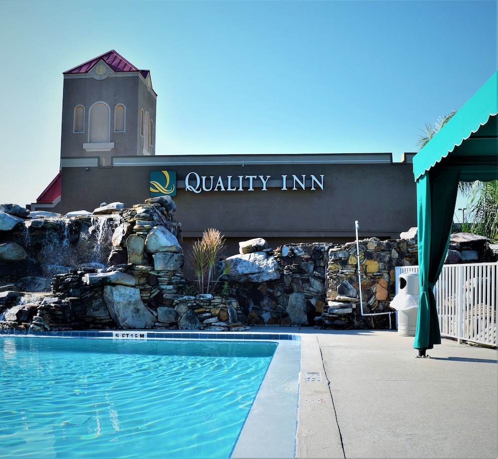 Quality Inn Kennedy Space Center - photo 60