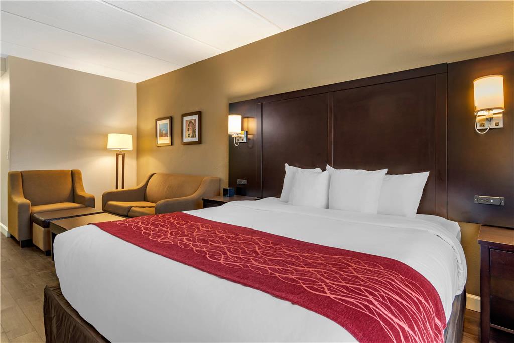 Comfort Inn & Suites near Six Flags - photo 12