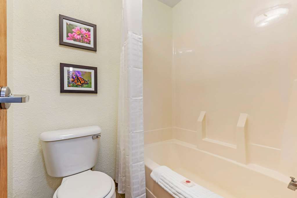 Comfort Inn & Suites Near Route 66 - photo 31