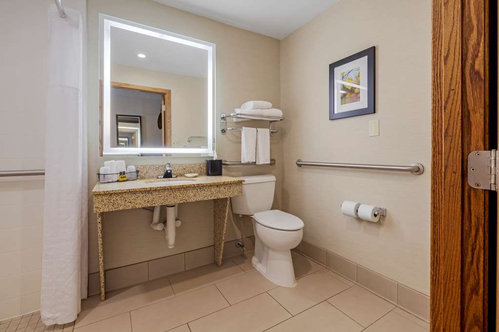 Best Western Plus Dubuque Hotel & Conference Center - photo 51