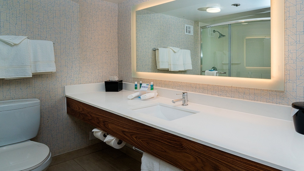 Holiday Inn Express Fullerton Anaheim by IHG - photo 15