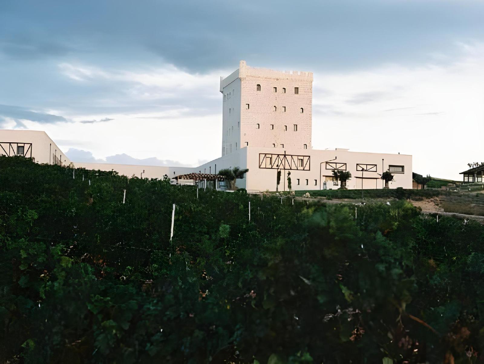 Chateau Pago De Cirsus