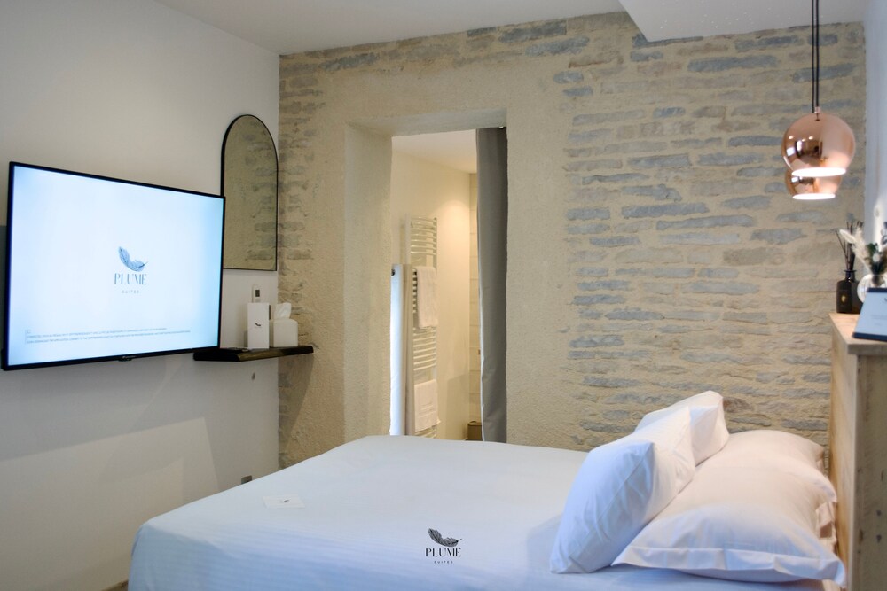 Plume Suites — Fleurey-Sur-Ouche — photo 5